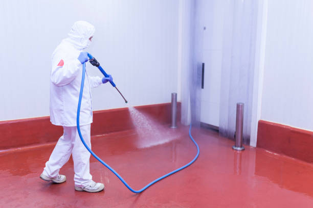 Best Winterizing Services  in Abingdon, IL
